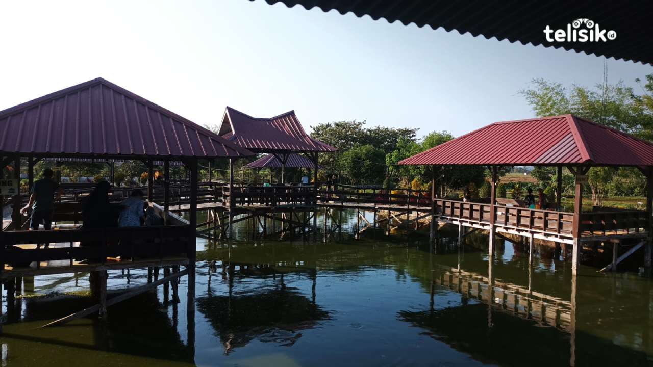 Ketgam: Mangga Dua, Wisata Kuliner nuansa alam di Kabupaten Konawe Selatan. Foto: Evy Septiana Warsito/Telisik