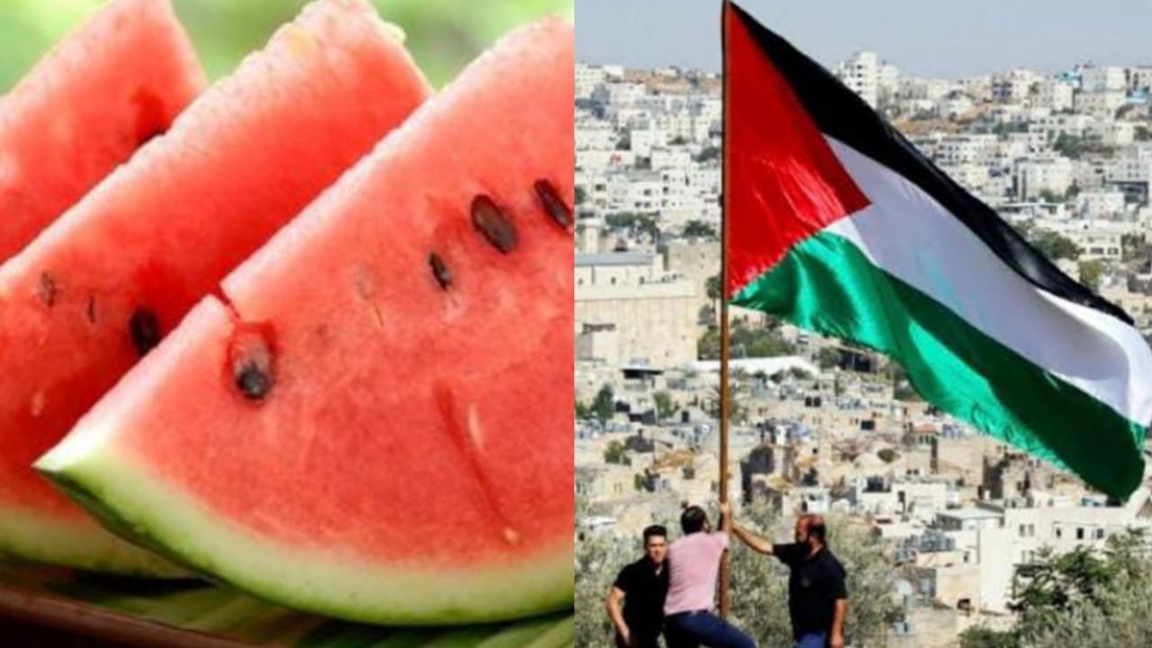 Emoji buah semangka sering dicantumkan dalam cuitan berisi dukungan kepada Palestina. Ternyata hal tersebut ada sejarah dan maknanya. Foto: Kolase