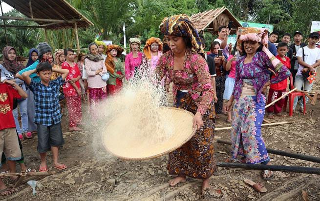 Beras (Oryza sativa) termasuk ke dalam biji-bijian berkalori tinggi yang murah, sehingga dapat dikonsumsi oleh semua kalangan. Foto: Wikipedia.com