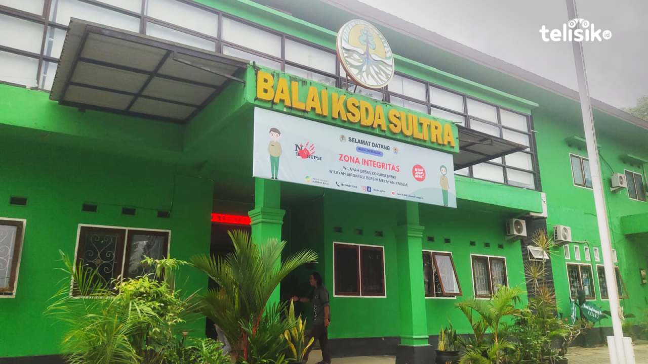 Balai Konservasi Sumber Daya Alam (BKSDA) Sulawesi Tenggara membeberkan aturan pengolahan madu hutan punya izin dan prosedur. Foto: Erni Yanti/Telisik