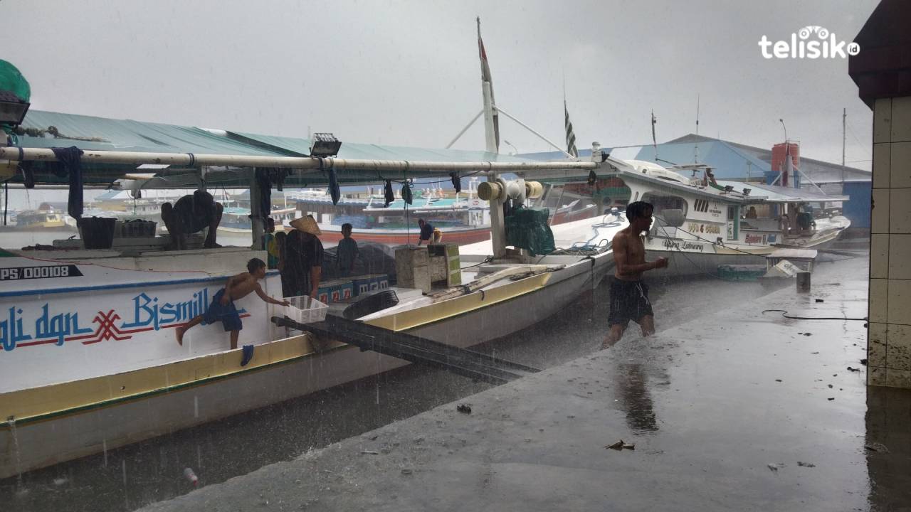 Foto: Apriadi Mayoro/Telisik 