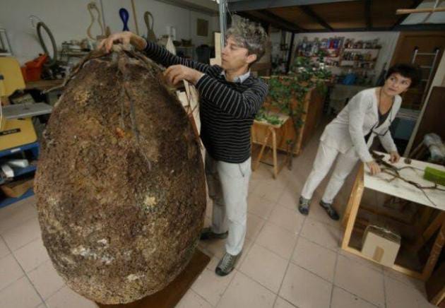 Konsep pemakaman ini akan mengubah mayat menjadi pohon. Jenis pemakaman ini dianggap lebih berguna dan ramah lingkungan ketimbang batu nisan. Foto: Uthkg.com 
