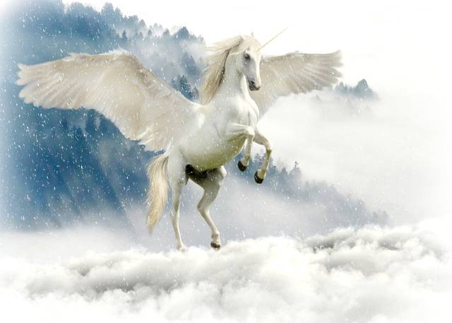 Buraq adalah makhluk hidup yang berbentuk seperti kuda, tetapi lebih besar dari keledai dan lebih kecil dari bighal (persilangan kuda dan keledai). Foto: Repro Pixabay