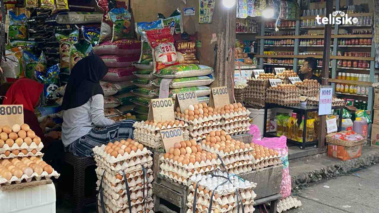 Harga telur di Kota Baubau tembus Rp 70 ribu. Foto: Elfinasari/Telisik