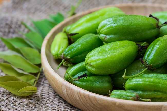 Belimbing wuluh biasa digunakan sebagai tanaman herbal untuk pengobatan. Foto: Repro Alodokter