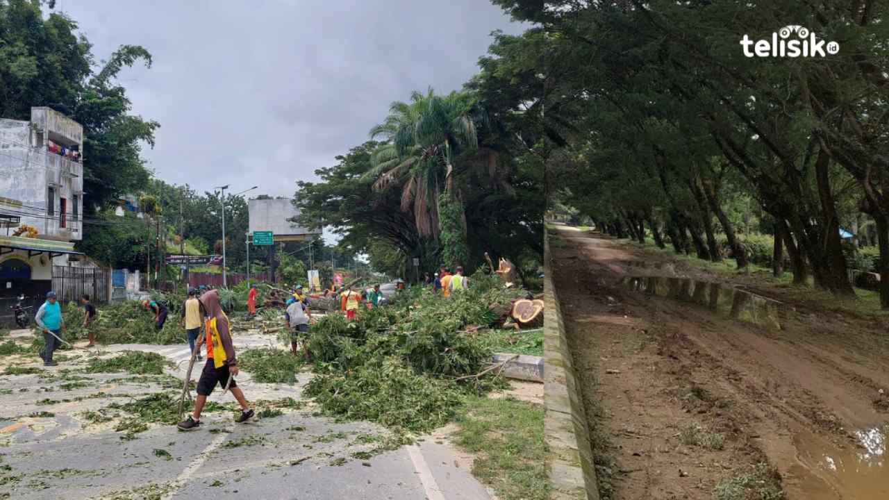 Penutupan jalan di sekita RTH Meohai Kendari karena sedang ada penebangan pohon. Foto: Riksan Jaya/Telisik