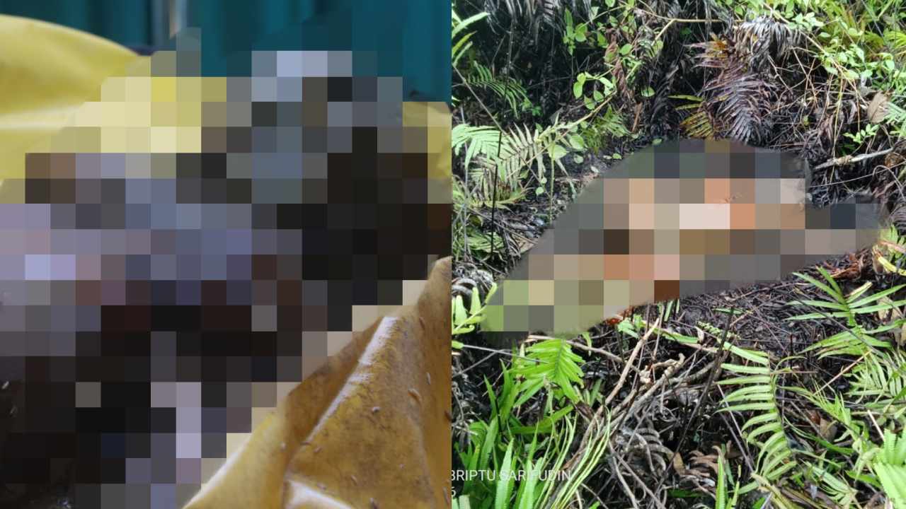 Kondisi mayat perempuan yang ditemukan warga di Lorong Kawite-wite, Desa Tanjung Pinang, Kecamatan Kusambi, Muna Barat. Foto: Ist.