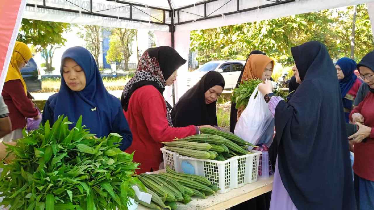 Kepala Bidang Holtikultura Dinas Perkebunan dan Holtikultura Provinsi Sulawesi Tenggara, Djodji Paat. Foto: Ist.