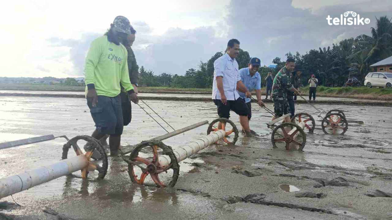 Direktur Jenderal (Dirjen) Tanaman Pangan Kementerian Pertanian (Kementan) Republik Indonesia, Suwandi saat melakukan percepatan tanam padi di Sulawesi Tenggara. Foto: Sigit Purnomo/telisik