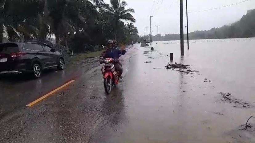 Ratusan sawah terendam banjir di Kelurahan Waliabuku Kota Baubau dan hendak naik di bahu jalan. Foto: Screenshot Video
