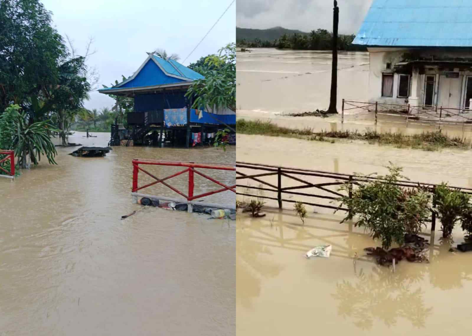 Puluhan rumah dan ratusan hektare di Desa Anggoro, Kabupaten Konawe sawah terendam banjir. Foto: Kolase