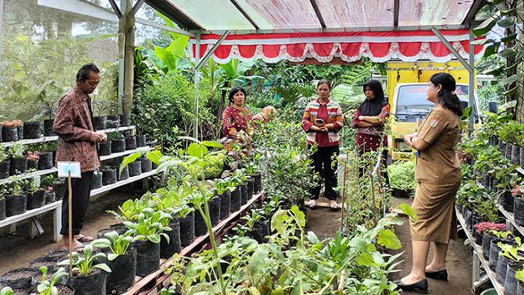Contoh aksi pemanfaatan lahan kosong sebagai bentuk mandiri pangan. Foto: Ist.