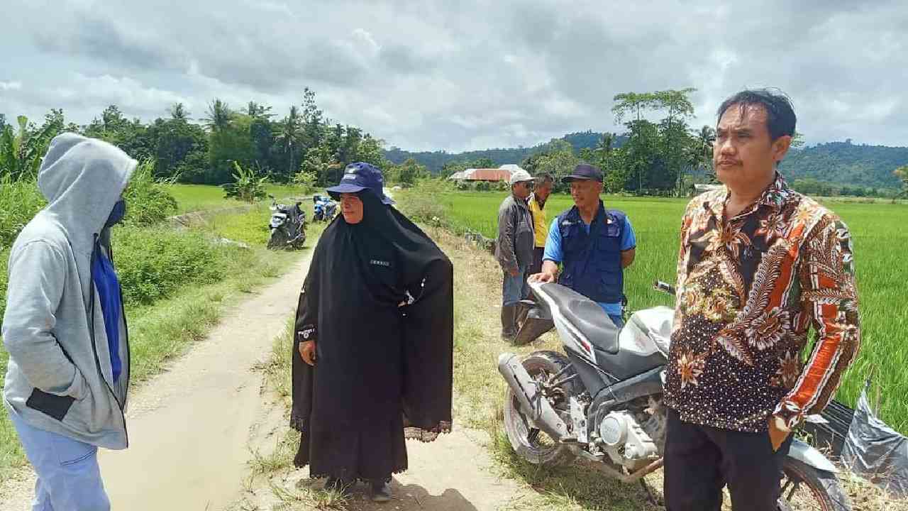 Kepala Dinas Tanaman Pangan dan Perkebunan Konawe, Gunawan Samad bersama jajaran saat meninjau lokasi LTT.  Foto: Ist