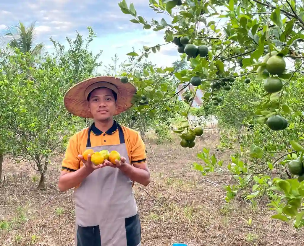 Muhammad Ridwan, alumni UHO Kendari, memilih membuka usaha kebun produktif. Foto: Ist.