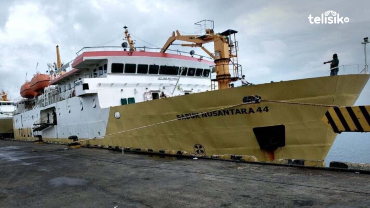 Kapal perintis Sabuk Nusantara 44 Foto: Dok Telisik