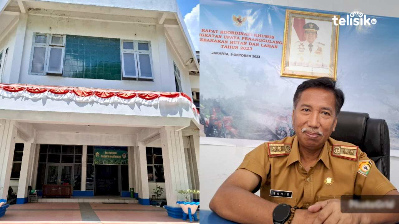 Kepala Dinas Kehutanan Provinsi Sulawesi Tenggara, Sahid, saat diwawancarai telisik.id, Selasa (22/10/2024). Foto: Erni Yanti/ Telisik
