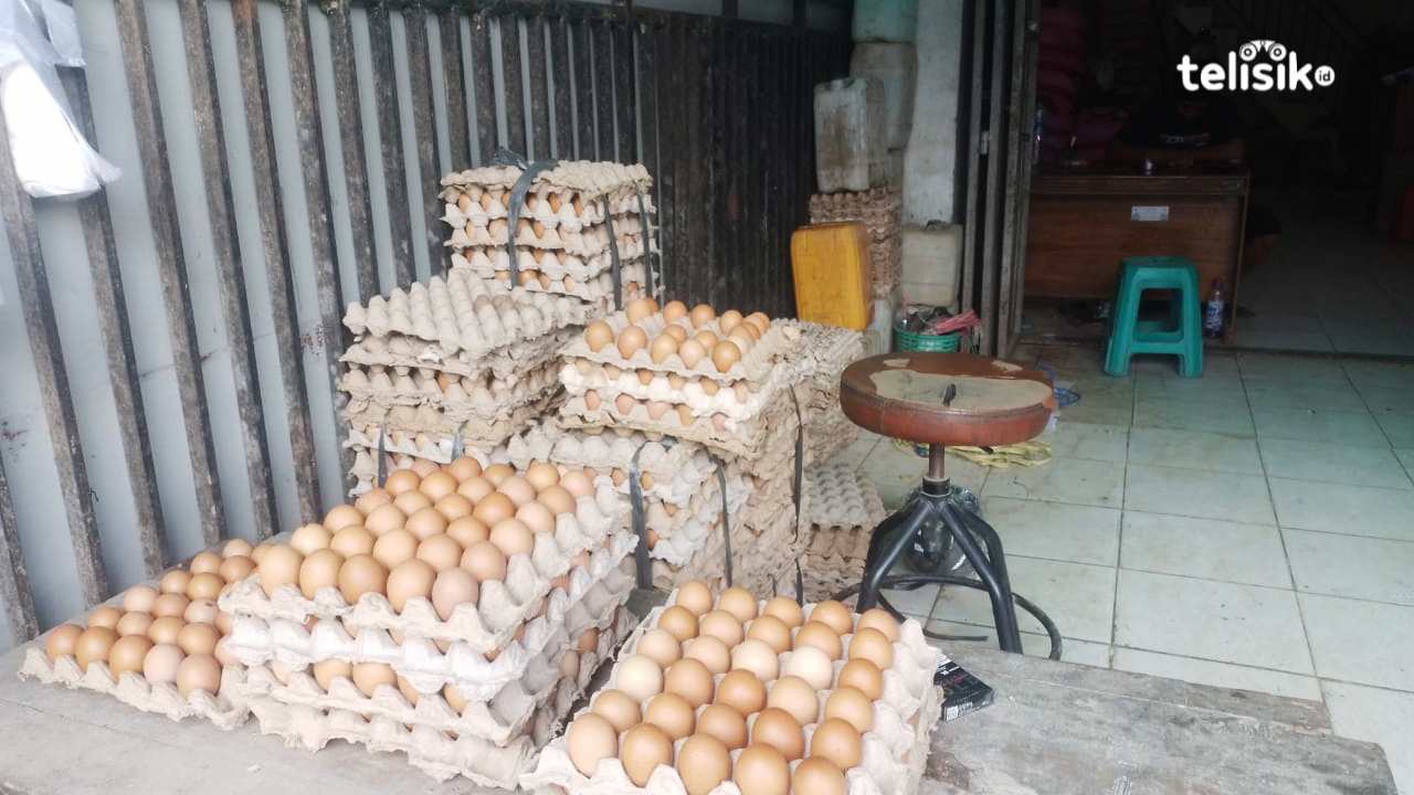 Harga telur di Kota Kendari mengalami kenaikan yang cukup signifikan, setelah peringatan Maulid. Foto: Asrul/Telisik