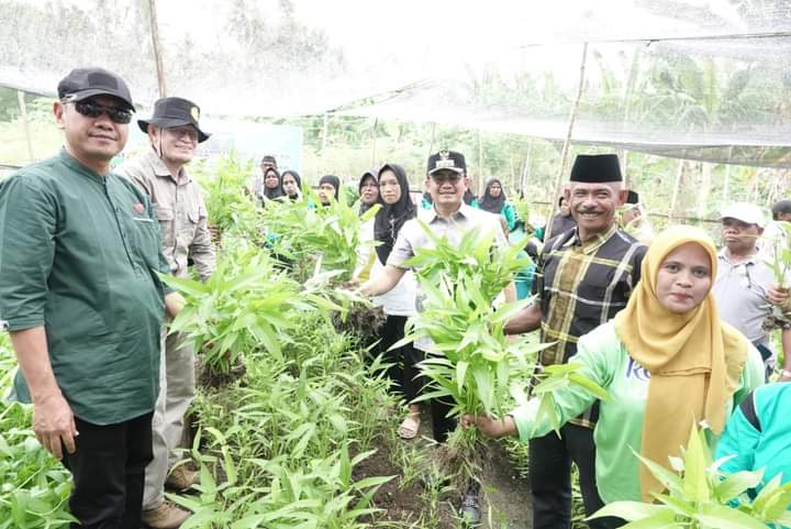 Pj Bupati Buton Selatan, Parinringi, bersama Sekda Buton Selatan, La Ode Budiman dan Kepala Desa Wawoangi, Abdul Halim saat panen sayur bersama. Foto: Ist.