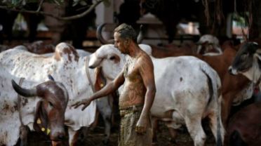 Tradisi unik pembawa berkah di India yang membuat orang tercengang. Foto: Repro dailystar