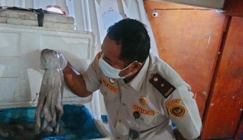 Balai Karantina Sultra berperan menjaga keamanan pangan dan ekonomi. Foto: Ist