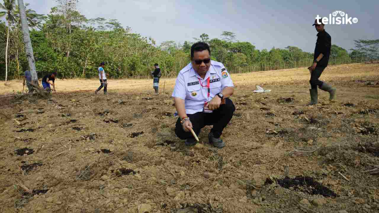 Kepala Distanak Sultra, La Ode Muhammad Rusdin Jaya. Foto: Nabila/Telisik