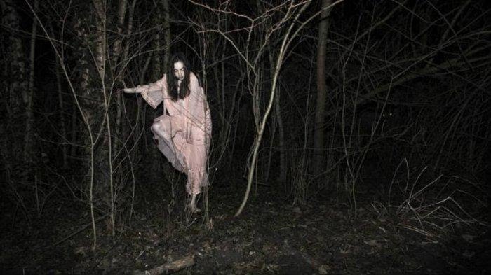 Cerita mistis parakang, makhluk jadi-jadian pemangsa organ manusia. Foto: Repro tribunnews.com