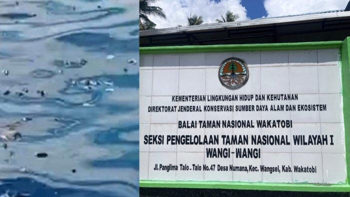 Balai Taman Nasional Wakatobi sedang menginvestigasi dugaan pemboman ikan di Pulau Runduma Wakatobi. Foto: Ist.