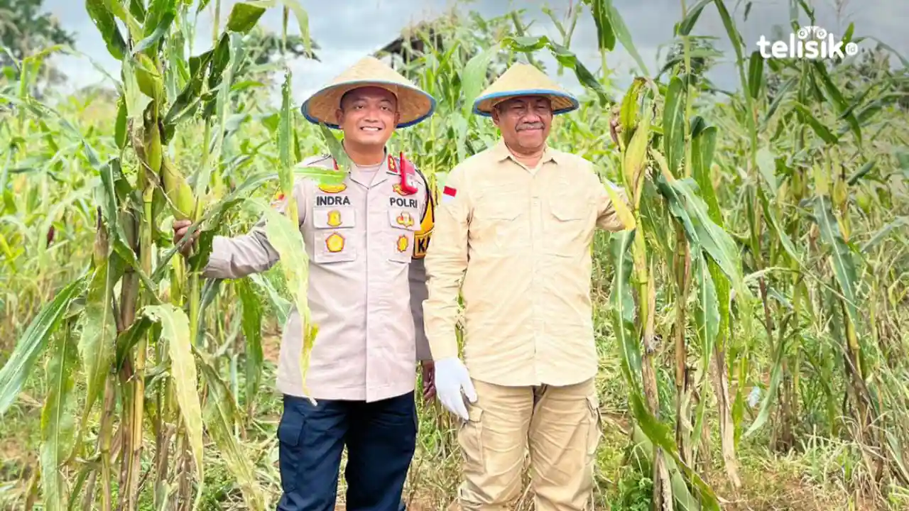 Kapolres Muna, AKBP Indra Sandy Purnama Sakti bersama Plt Bupati, Bachrun Labuta menanam jagung. Foto: Sunaryo/Telisik
