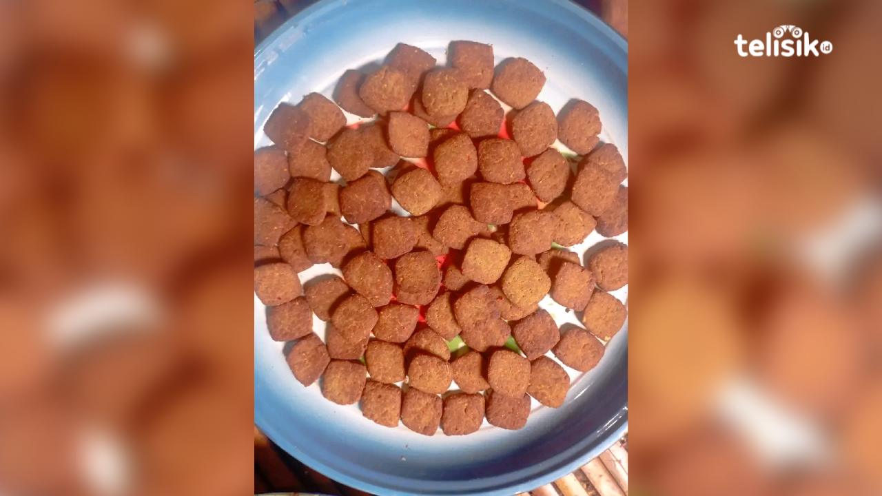 Kenta ni dole yang merupakan salah satu makanan khas Wakatobi. Foto: Wa Ode Hesti/Telisik