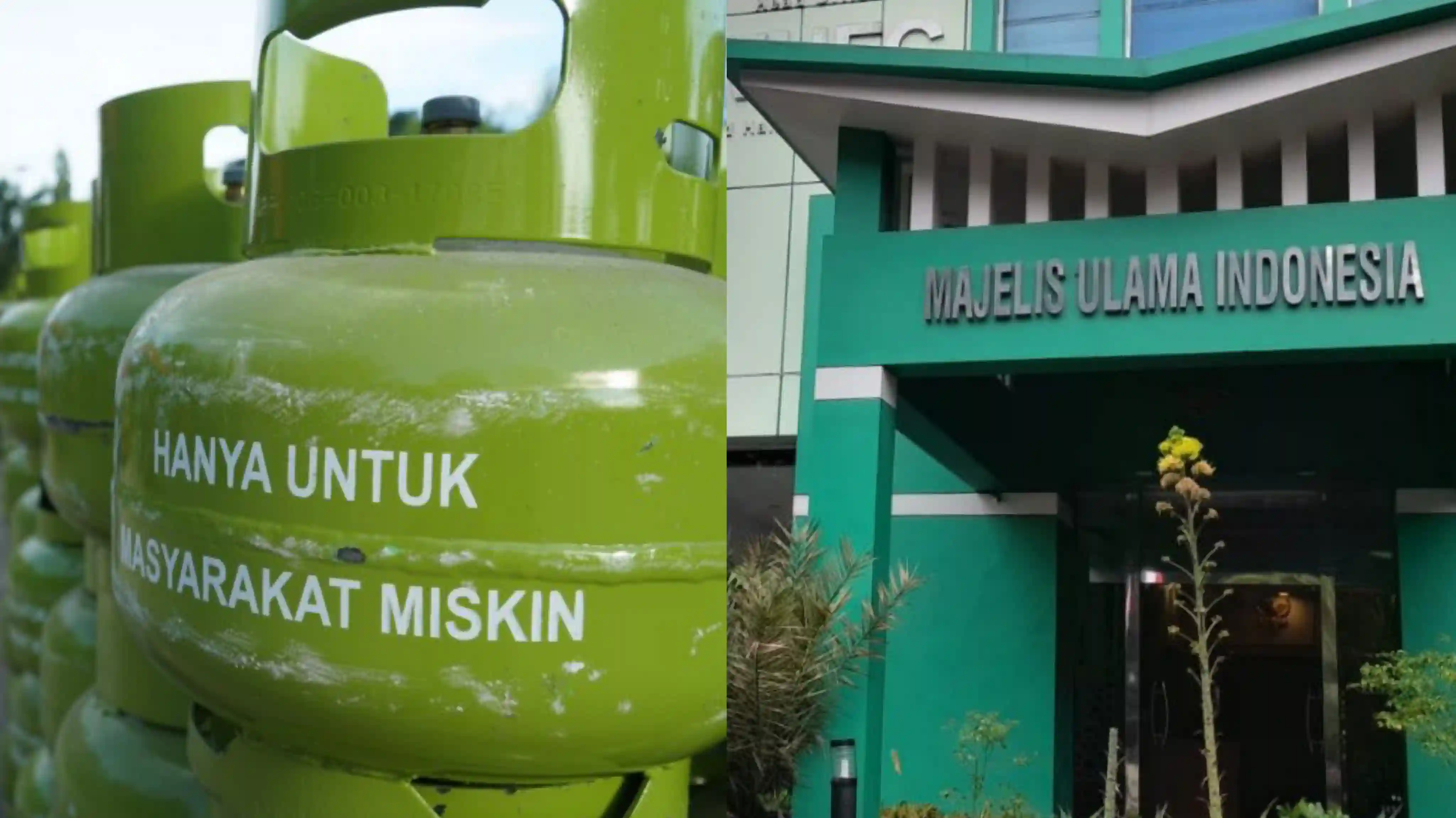MUI menegaskan haram bagi orang kaya menggunakan gas bersubsidi. Foto: Repro Pertamina/Antara