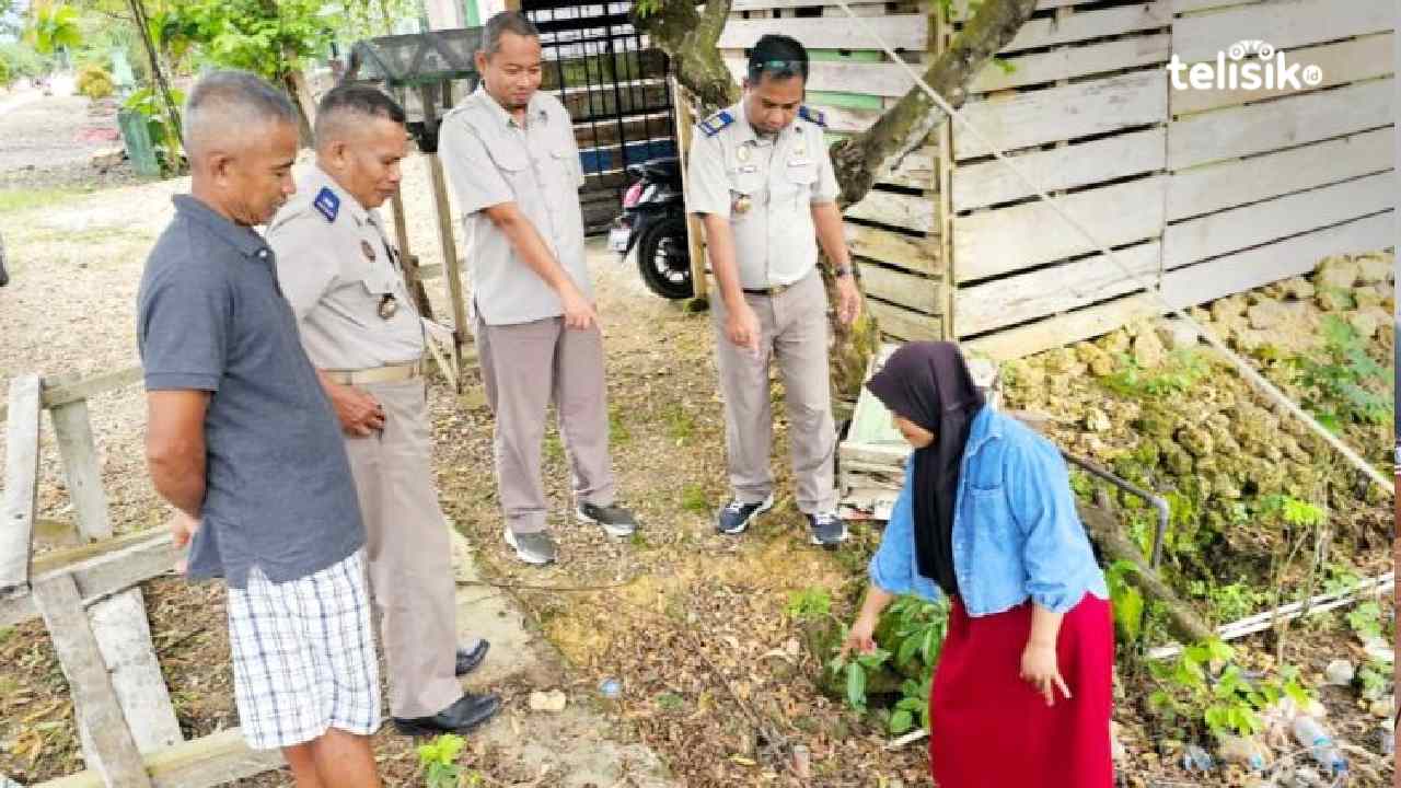 Petugas dari Badan Pertanahan Nasional (BPN) Buton saat memeriksa patok tanah warga. Foto: Febriyani/Telisik