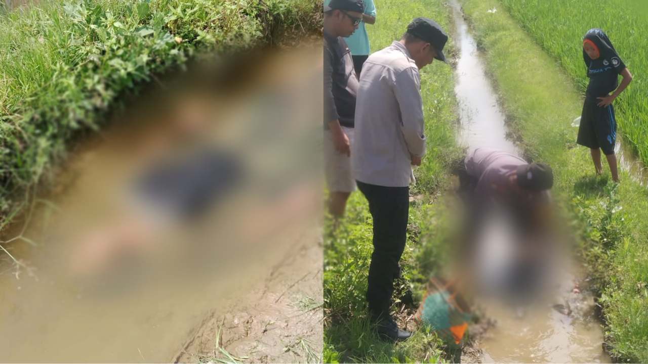 Kondisi korban, Piti, saat ditemukan di area persawahan Margacinta, Moramo, Konawe Selatan, Minggu (9/3/2025). Foto: Ist.