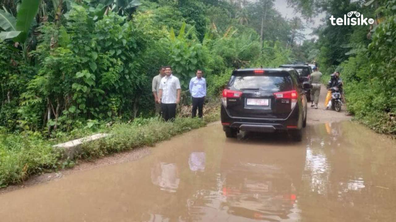 Bupati Buton, Alvin Akawijaya Putra, saat berada di jalan poros Wabula-Pasarwajo, tepatnya di Wabailangko, Sabtu (15/3/2025). Foto: Febriyani/Telisik