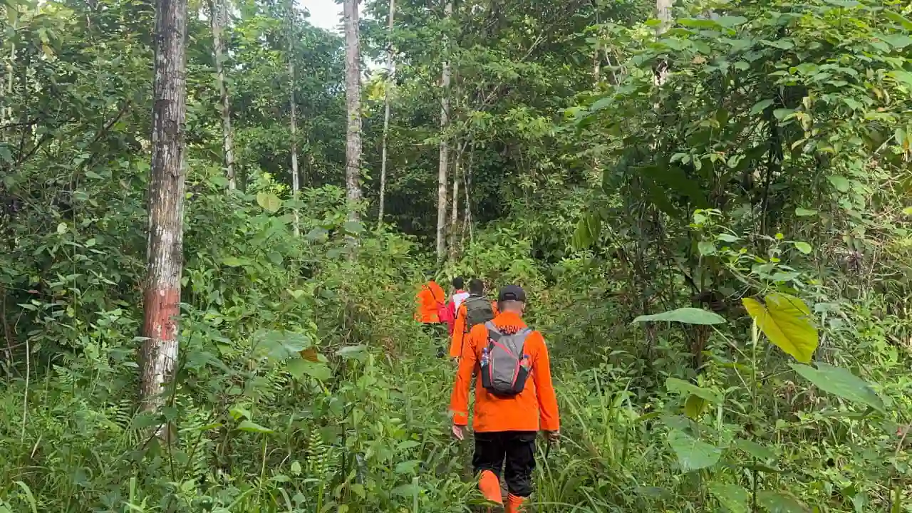 Tim SAR gabungan saat mencari seorang wanita lanjut usia di Buton yang hilang misterius di kebunya. Foto: Ist.