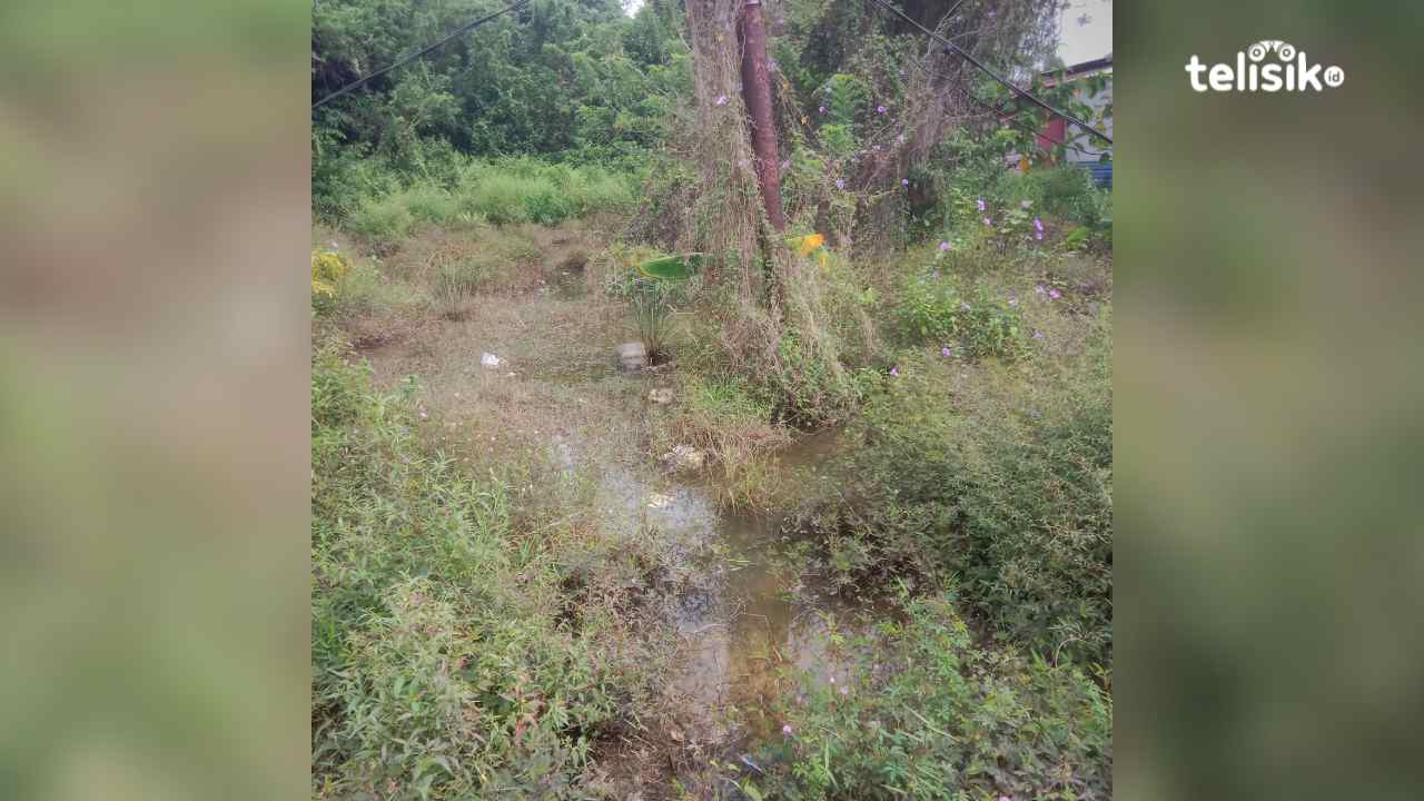 Lahan warga di Jalan H. Banawula Sinapoy, Kota Kendari, tergenang air yang disebabkan kebocoran pipa utama PDAM. Hamlin/Telisik