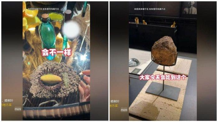 Kotoran gajah disulap jadi hidangan mewah seharga Rp 9 juta. Foto: Repro Tribunnews.