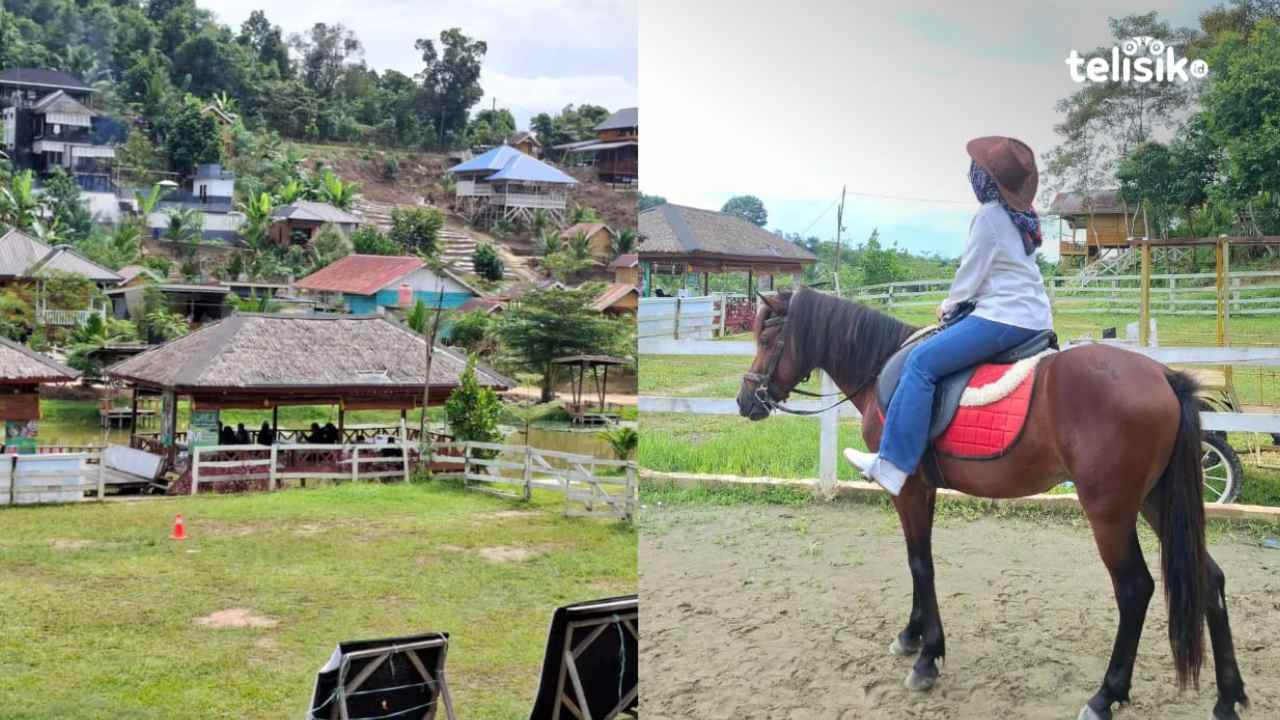 Suasana Agrowisata California Cialam di Kecamatan Konda, Konsel. Foto: Erni Yanti/Telisik.