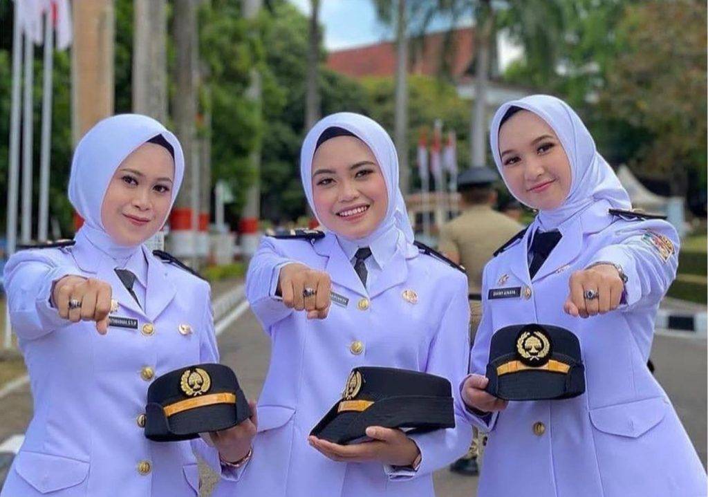 Dua sekolah kedinasan resmi buka pendaftaran CPNS 2025. Foto: Repro Taruna Bangsa.