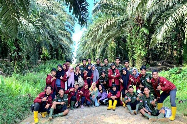 Beasiswa Sawit 2025 resmi dibuka, ribuan kuota tersedia bagi pendaftar. Foto: Repro Gatra.