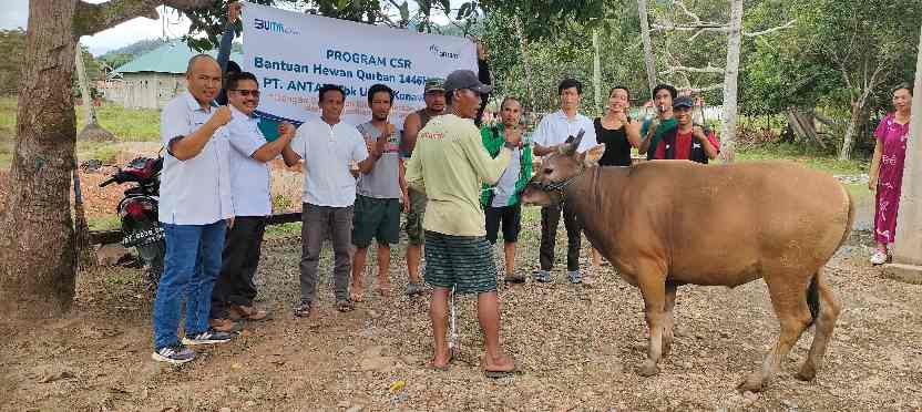Suasana penyerahan sapi qurban kepada masyarakat sekitar. Foto: Ist