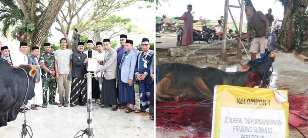 Serah terima sapi kurban Presiden dari Bupati Kolaka Utara, Nur Rahman Umar ke panitia (kiri) serta proses penyembelihan oleh panitia di halaman Masjid Agung Lasusua (kanan). Foto: Diskominfo Kolut.