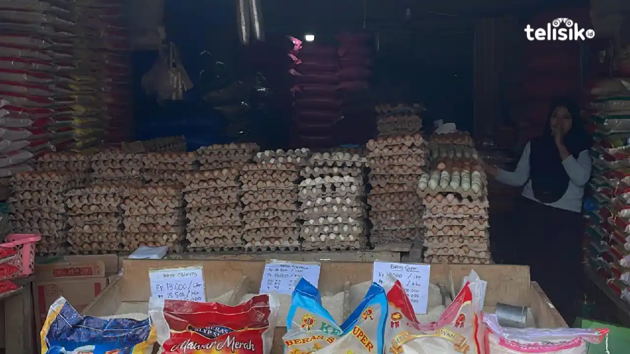 Meski harga telur naik, pedagang tetap bertahan dengan berbagai strategi, Kamis (17/7/2025). Foto: Galang/Telisik.