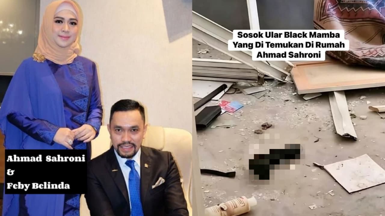 Black Mamba viral dikaitkan istri Ahmad Sahroni usai rumahnya dijarah massa. Foto: Facebook@Sridevi