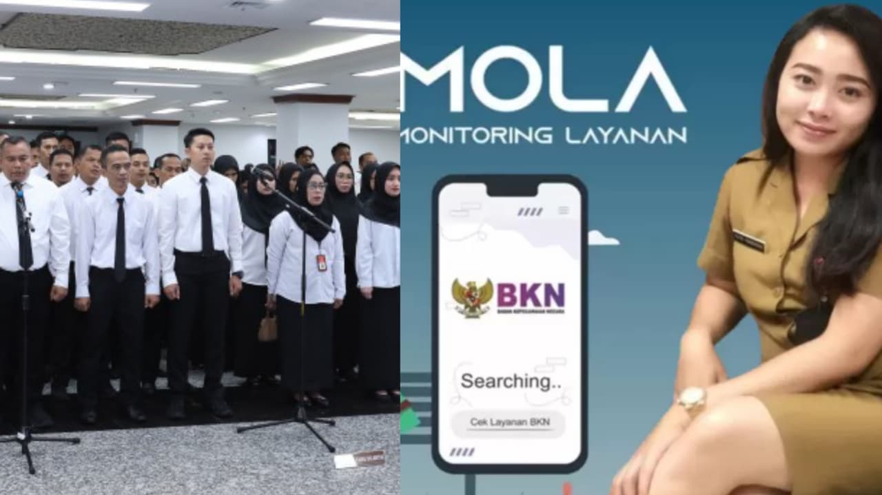 Peserta seleksi PPPK paruh waktu kini bisa cek status NIP melalui layanan Mola BKN. Foto: Repro mkri.