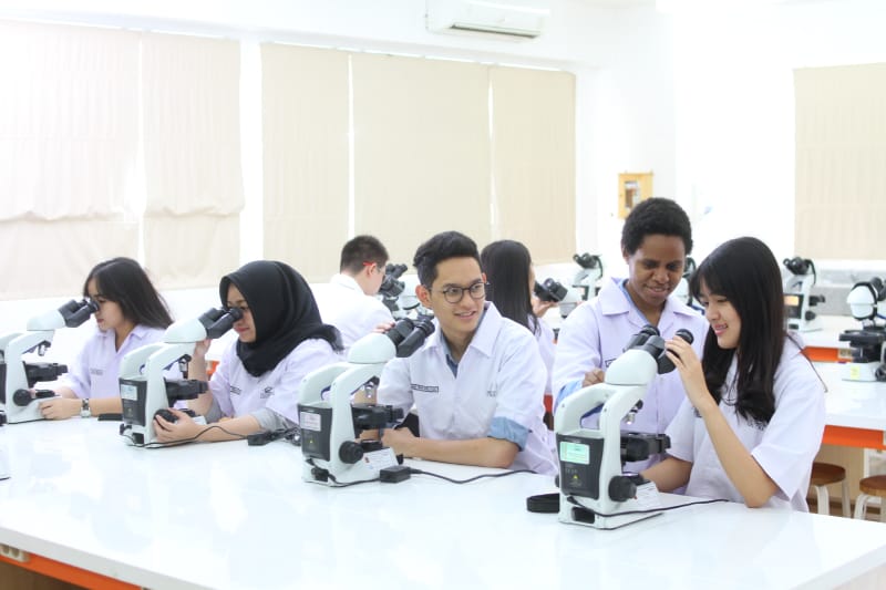 Kemenkes resmi membuka Beasiswa SDM Kesehatan 2025 untuk jenjang D4 hingga S3 bagi tenaga kesehatan. Foto: Repro Ciputrahospital.
