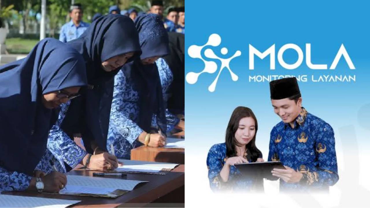 Peserta PPPK Paruh Waktu 2025 bisa cek NIP lewat Mola BKN. Foto: Repro Antara.