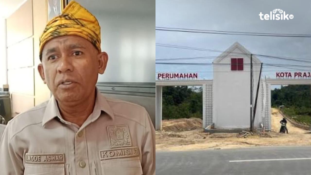 Ketua Komisi III DPRD Kota Kendari, La Ode Ashar minta Dinas Lingkungan Hidup Kota  Kendari beri sanksi tegas  BTN Kota Kendari. Foto Hamlin/Telisik/Ist