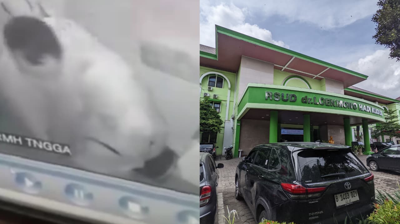 Video CCTV berdurasi 50 detik diduga melibatkan dua nakes RSUD Kudus viral. Foto: Repro Disway.