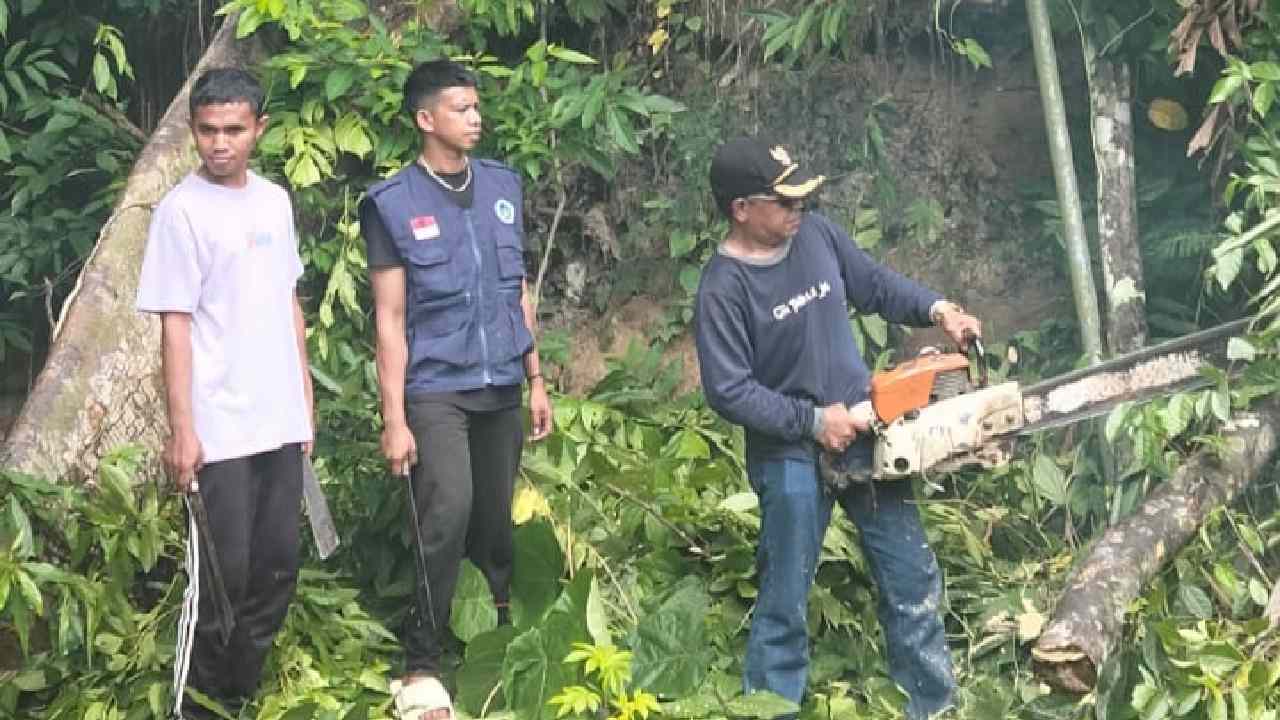 Salah satu perangkat desa di Buton Selatan sedang membersihkan batang pohon yang rawan tumbang. Foto: Ist.