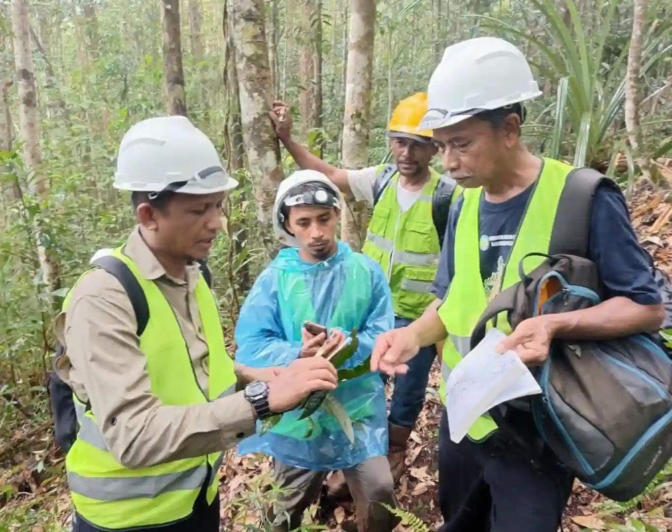 Tim peneliti biodiversitas melakukan identifikasi dan pencatatan spesies tumbuhan saat pemantauan lapangan di kawasan hutan Wawonii Tenggara, Pulau Wawonii, dalam rangka riset ekologis periode 2023-2025. Foto: Ist.